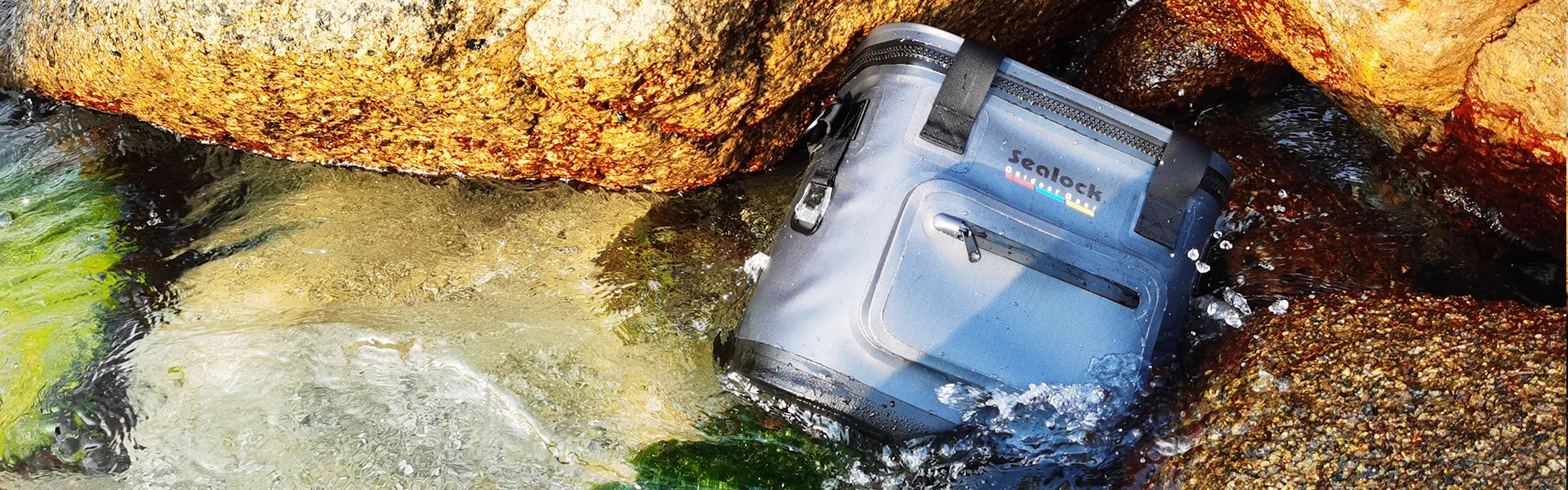 ডাউনলোড করুন