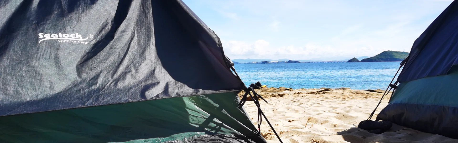 তদন্ত পাঠান